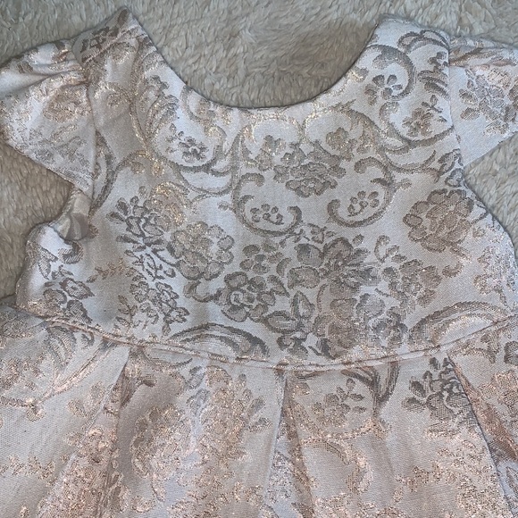 Janie and Jack Floral Jacquard Dress Pink/Rose Gold Dress EUC 6-12M - Picture 4 of 17